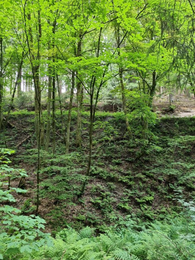Appartement Rakke Kiefernweg Winterberg Kültér fotó